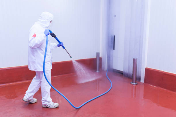 Best Post-Construction Pressure Washing  in Dalhart, TX