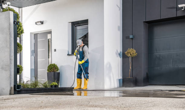 Best Animal Enclosure Cleaning  in Dalhart, TX